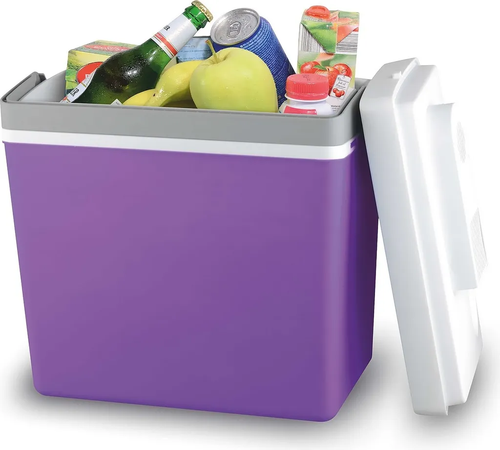 Offerta Compass 07129 Frigo Auto 23L | Prezzo Imbattibile 12/230V