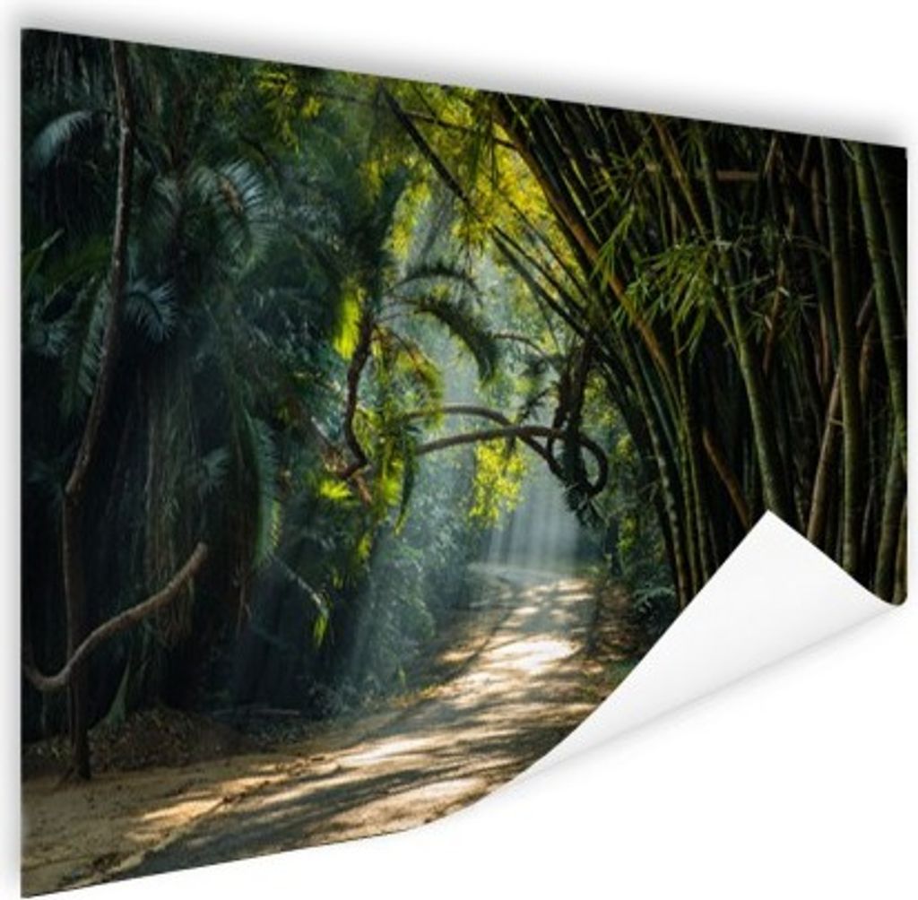 MuchoWow Poster Bambusreihen in Asien 60x40 cm - Schlafzimmerdekoration