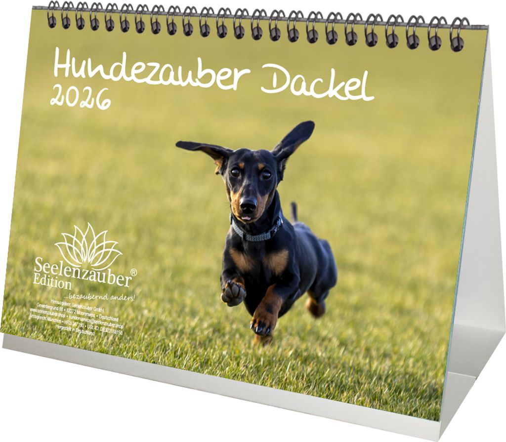Hundezauber Dackel DIN A5 Tischkalender für 2026 Welpen und Hunde - Seelenzauber