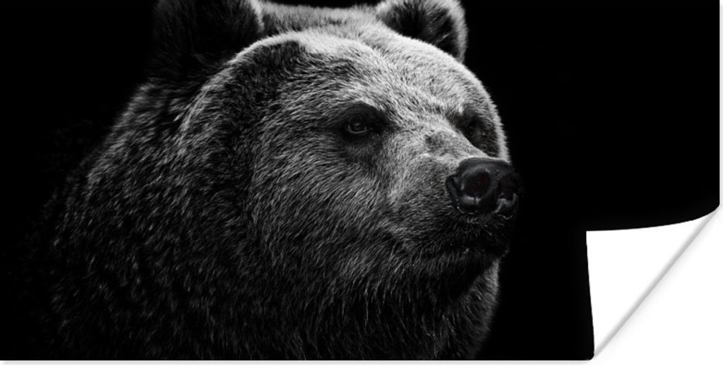 MuchoWow Poster Kamtschatka-Bär auf schwarzem Hintergrund in schwarz und weiß 40x20 cm - Poster für die Wand - Poster Schlafzimmer
