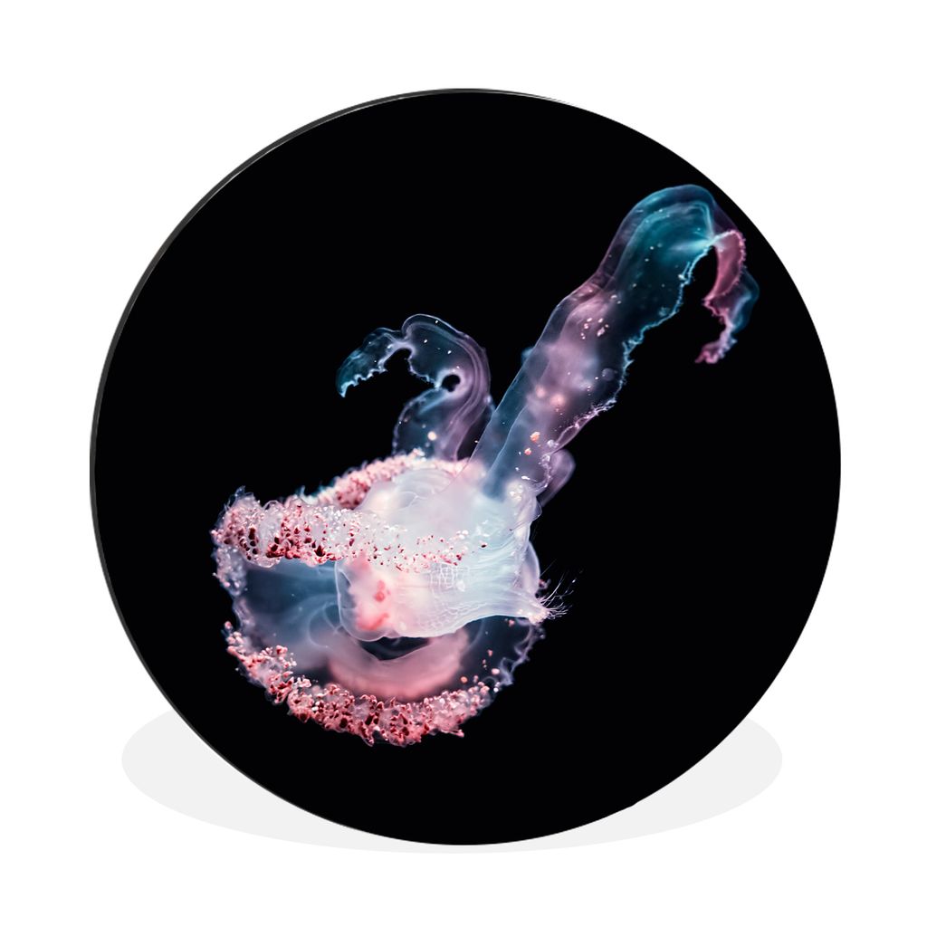 MuchoWow Aluminium Wandkreis Qualle - Meer - Rosa - Abstrakt Ø 30 cm Wanddeko Modern Wohnzimmer - Wand Bild - Wohnzimmer - Runde Bilder - Alubil...