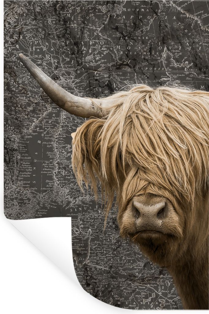 MuchoWow Wandtattoo Wandsticker Wandaufkleber Schottische Highlander - Kühe - Weltkarte 20x30 cm Selbstklebend und Repositionierbar - Sticker - ...