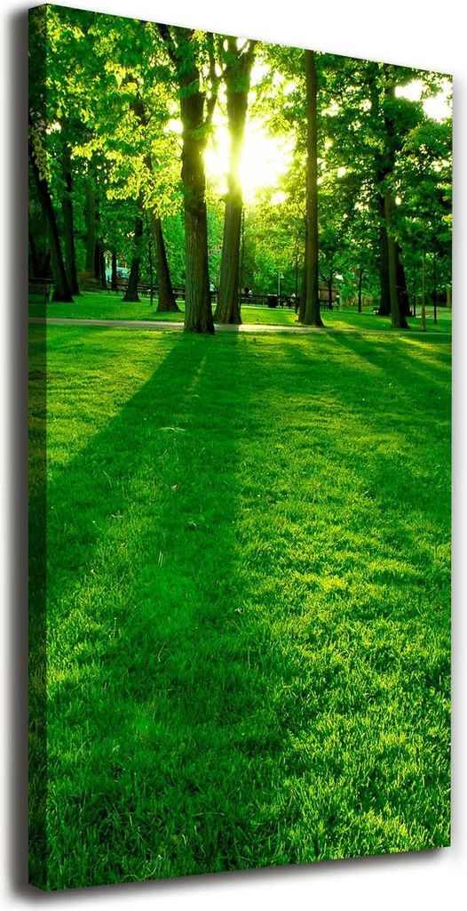 Tulup Leinwandbild - 70x140cm - Wandkunst - Drucke auf Leinwand - Leinwanddruck - Wohnzimmer Wanddekoration XXL - Wohnung Deko Kunstdrucke - Land...