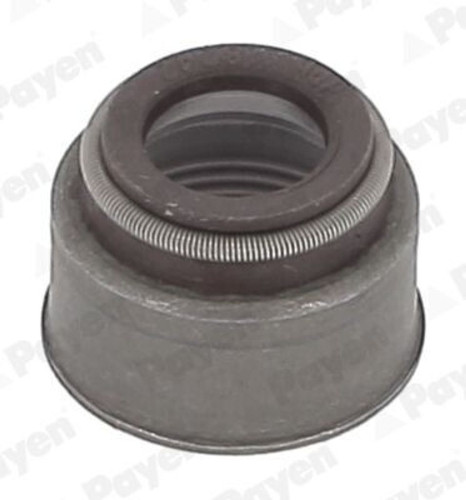 PAYEN Ventilschaftdichtung-Satz HR5144 für PORSCHE 944 FPM (Fluor-Kautschuk)