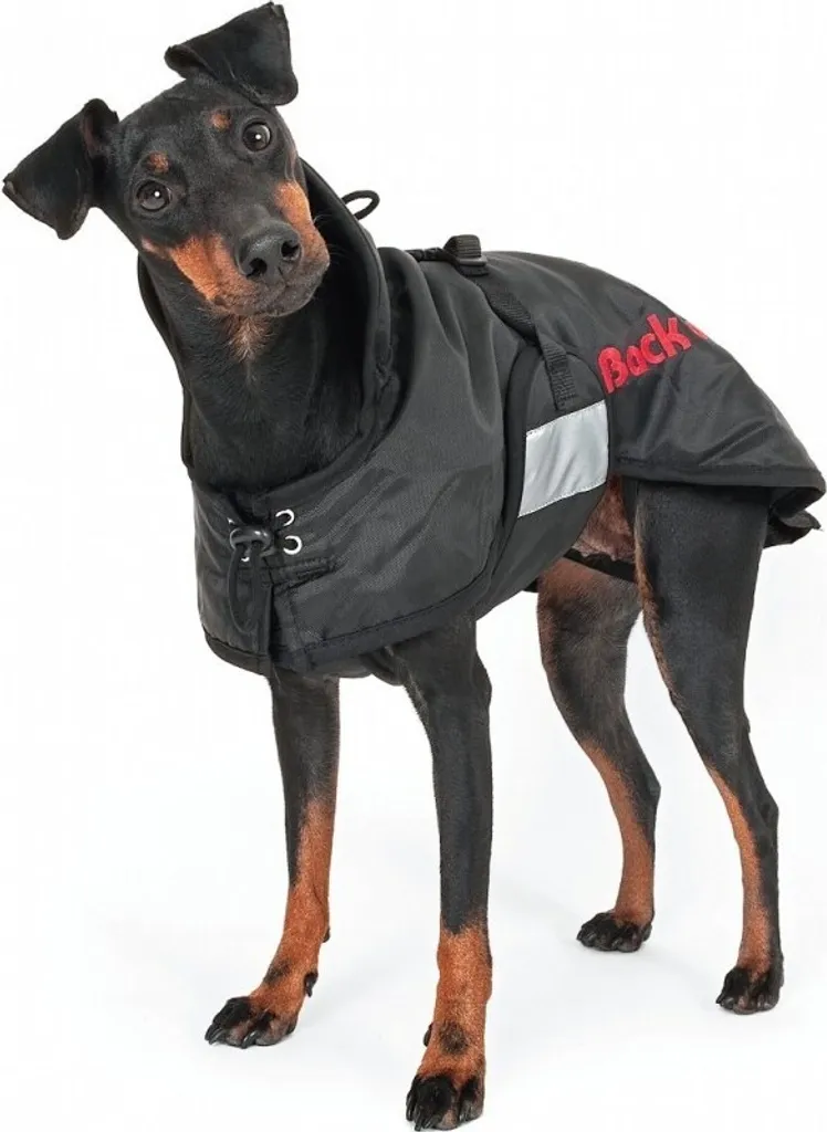 Manteau imperméable pour chiens Back on Track protection extérieure - 5