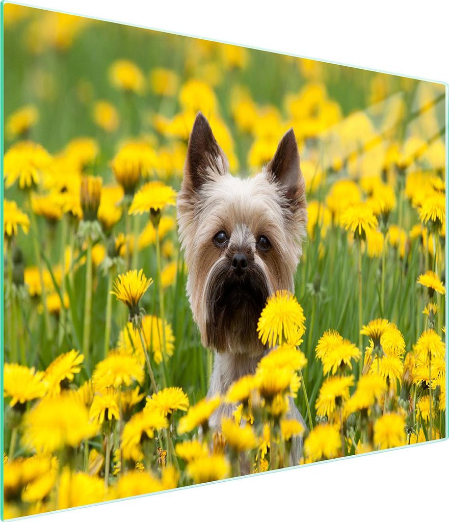 Glasschneidebrett 52x30 Hund