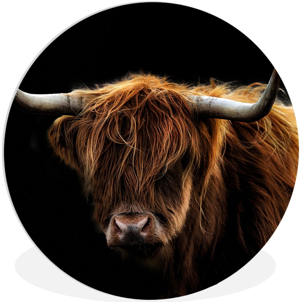 MuchoWow Rundes Wandbild - Runde Bilder Schottischer Highlander - Hörner - Schwarz - Tiere - Natur - Wild - Kuh Ø 90 cm Kreis Wanddekoration Ku...