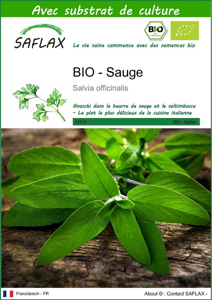 SAFLAX  -- Sauge - 60 graines - Avec substrat - Salvia Image du produit 