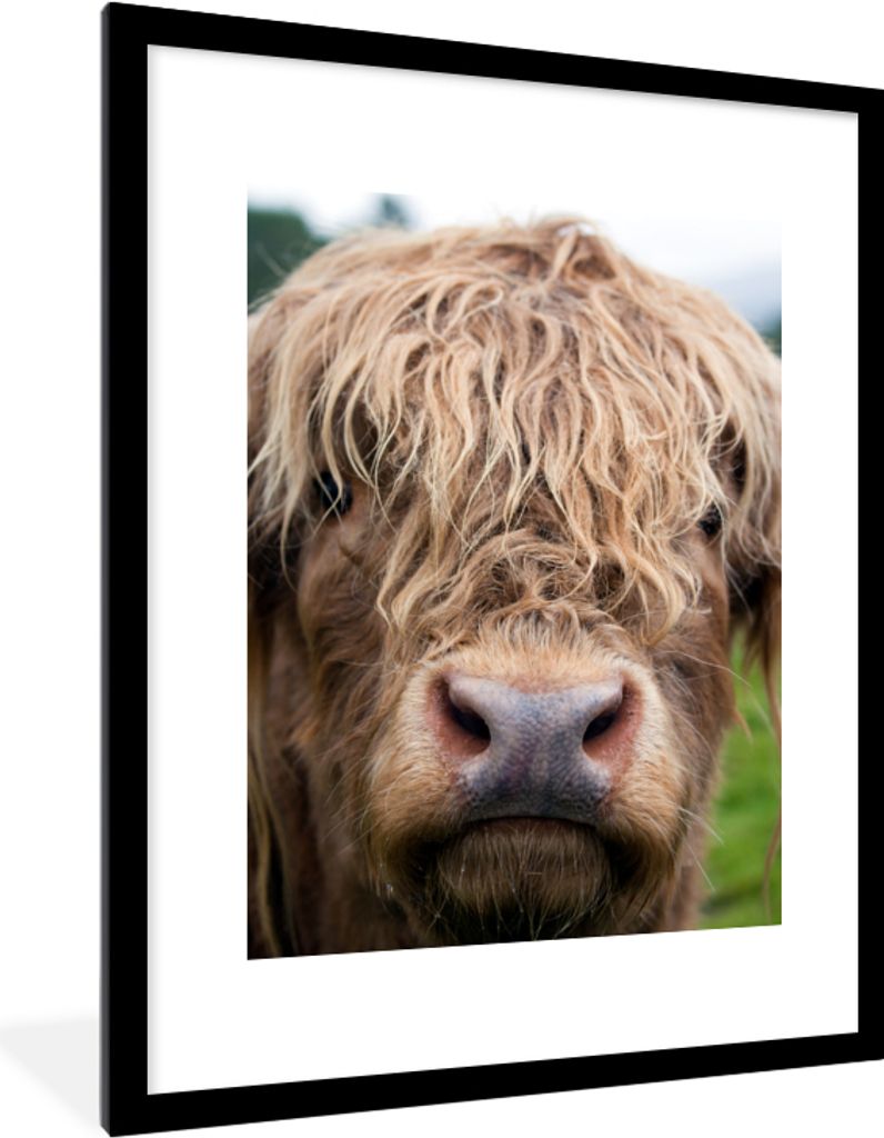 MuchoWow Gerahmtes Poster Schottische Highlander - Gras - Wald 60x80 cm - Poster mit Schwarzem Bilderrahmen Wandposter Rahmen Foto Bilder - Wohnz...