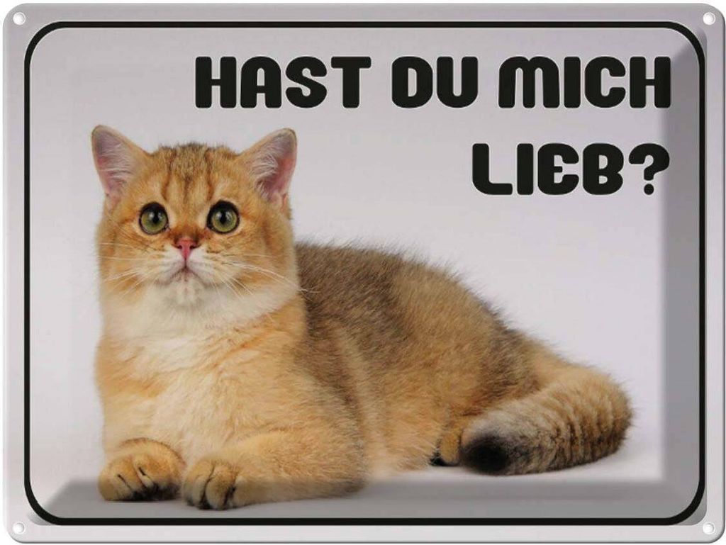 vianmo Blechschild 30x40 cm Katze hast du mich lieb?