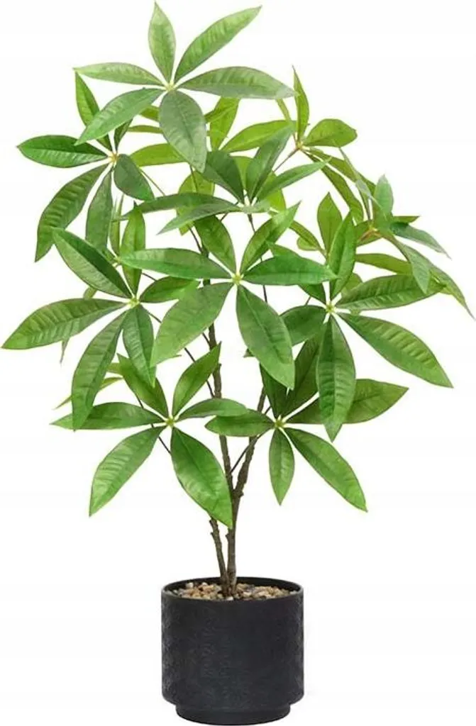 Pachira Artificiel 60cm en Étang Réaliste - Arbre Déco Haut de Gamme