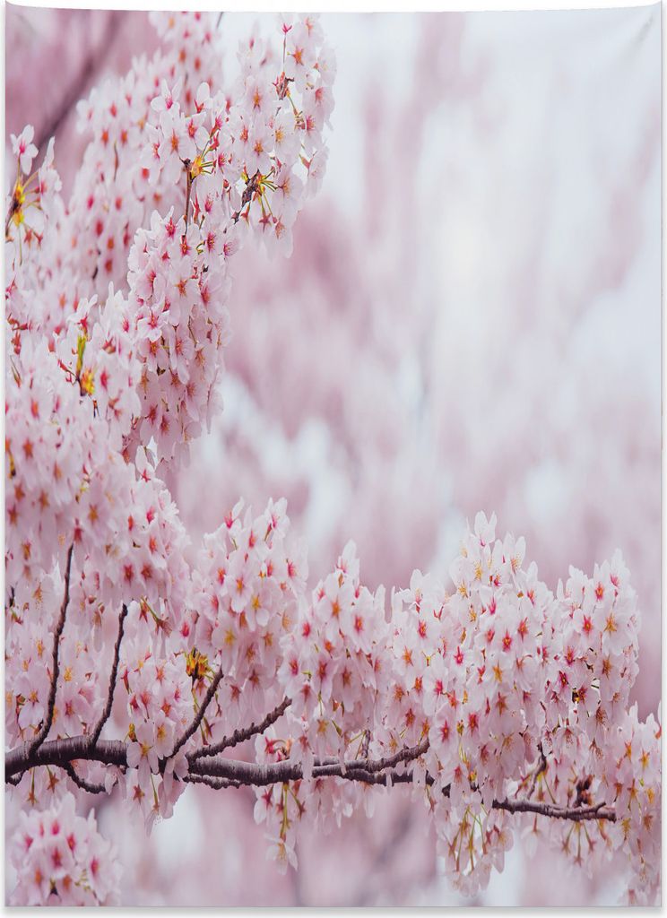 Abakuhaus Regenbogen Wandteppich, Vibrierende farbige gestreifte aus Weiches Mikrofaser Stoff Kein Verblassen Klare Farben Waschbar, 110 x 150 cm, ...