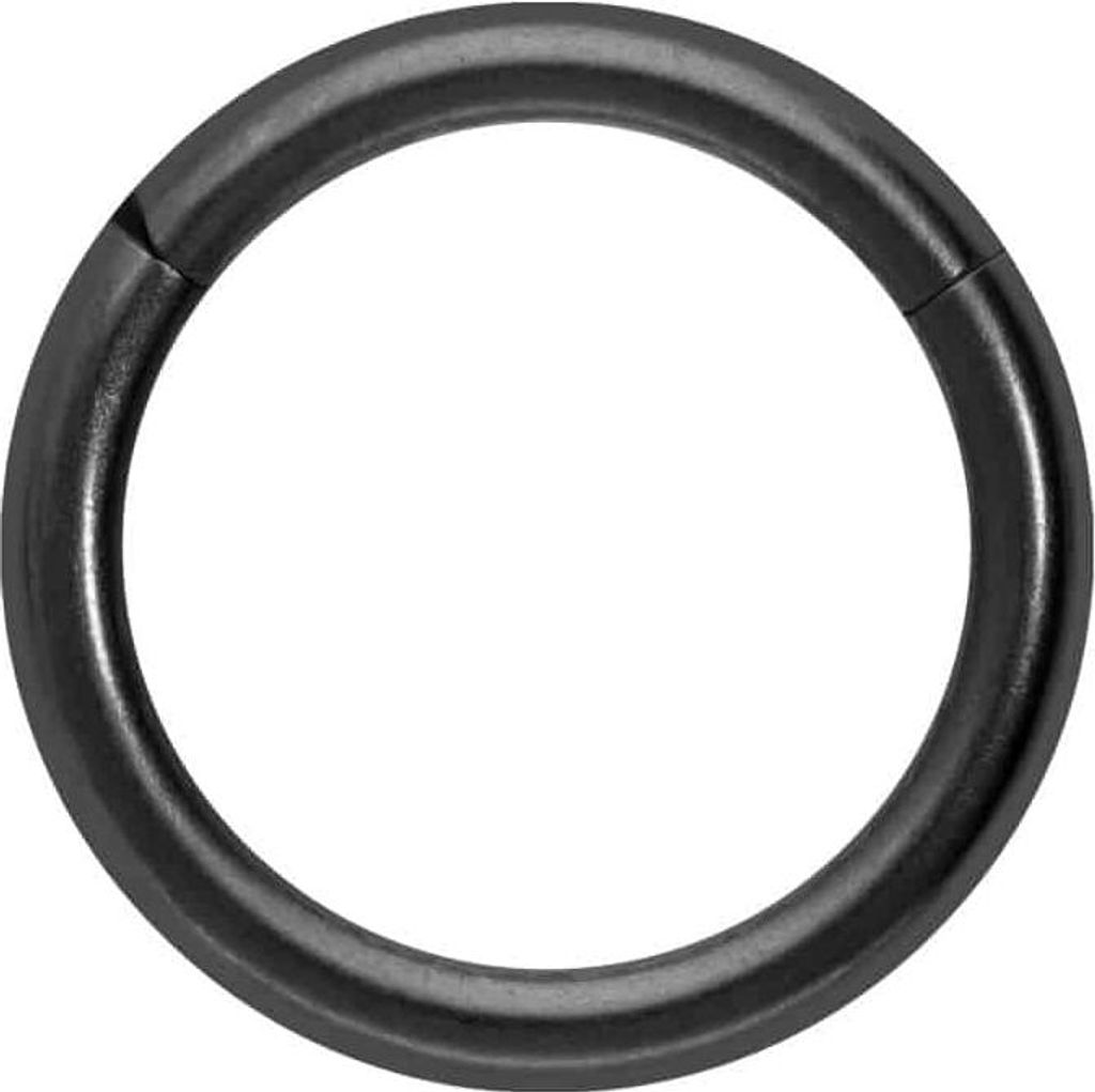 Ohrpiercing, Nasenpiercing, Septum Piercing Titan Segmentring Clicker MATT Schwarz Innendurchmesser: 9mm + Stabstärke: 1,6mm