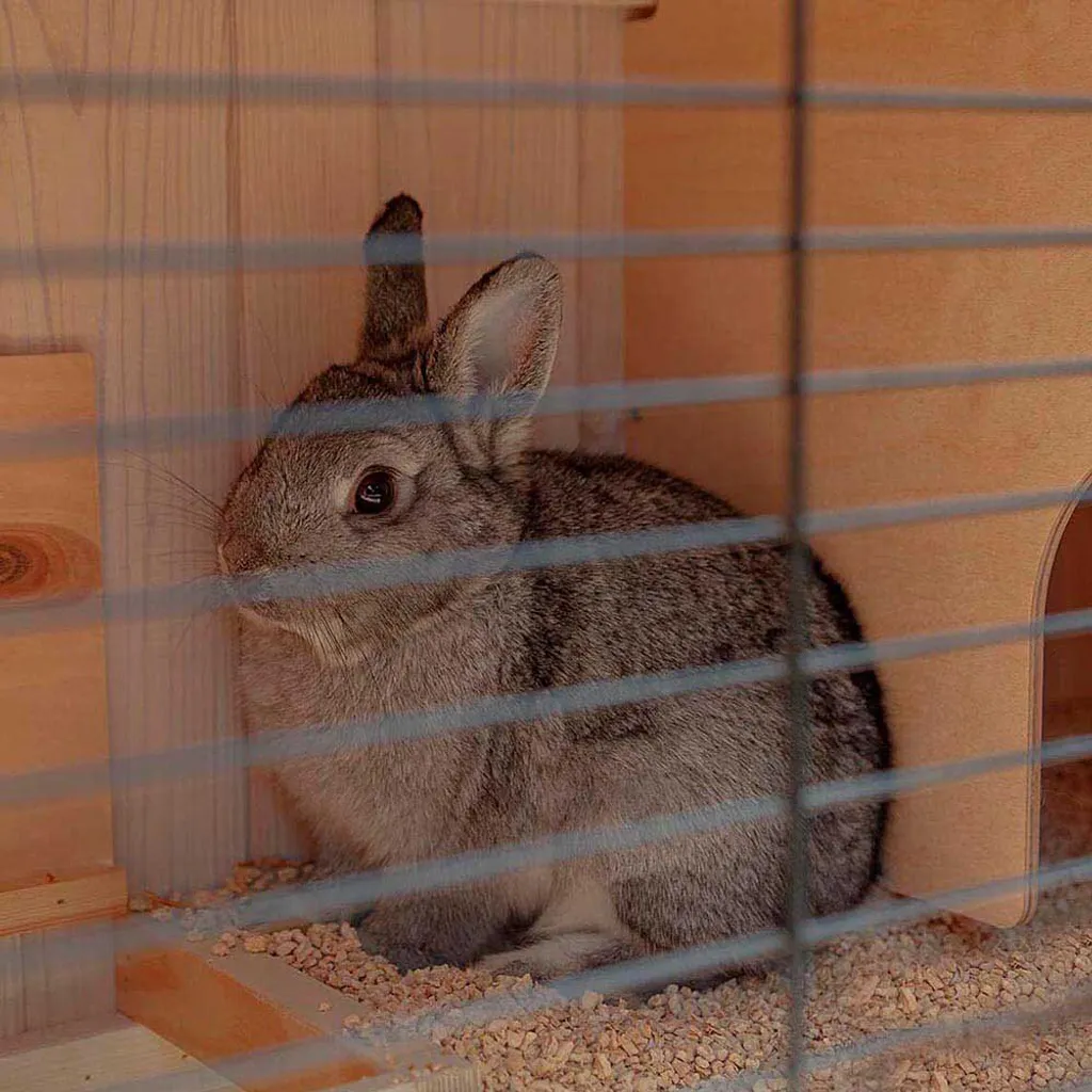 Ferplast Ranch 100 Basic cage lapin blanc 92cm 57090000 - 11