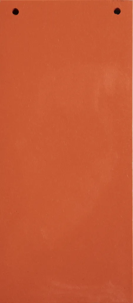 1200 Fiches Intercalaires Exacompta Orange 13465B - Rangement 105x240