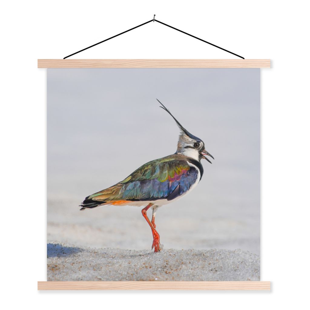 MuchoWow Textilposter Vogel - Tiere - Sand - Kiebitz 40x40 cm mit holzfarbenen Rahmen - Posterleiste