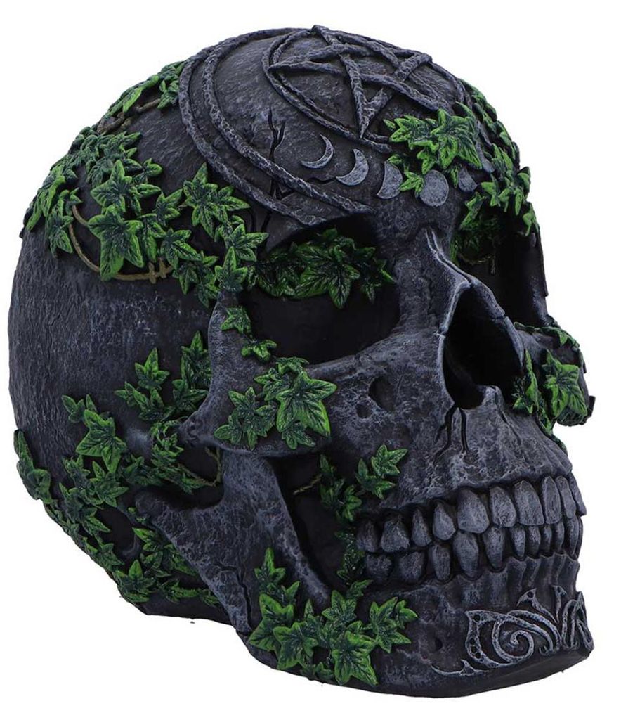 Schwarzer, antiker Pentagramm Totenkopf mit grünem Efeu 19cm