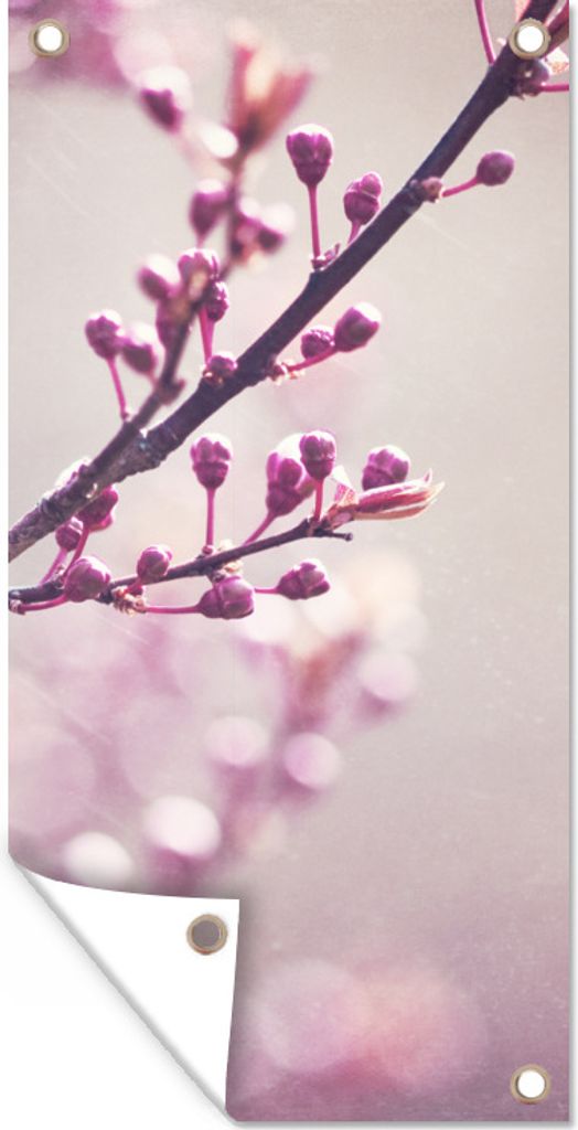 MuchoWow 30x60 cm Outdoor-Poster Gartendeko Sichtschutz Garten Poster für den Garten Nahaufnahme der violetten Blüten einer Sakura