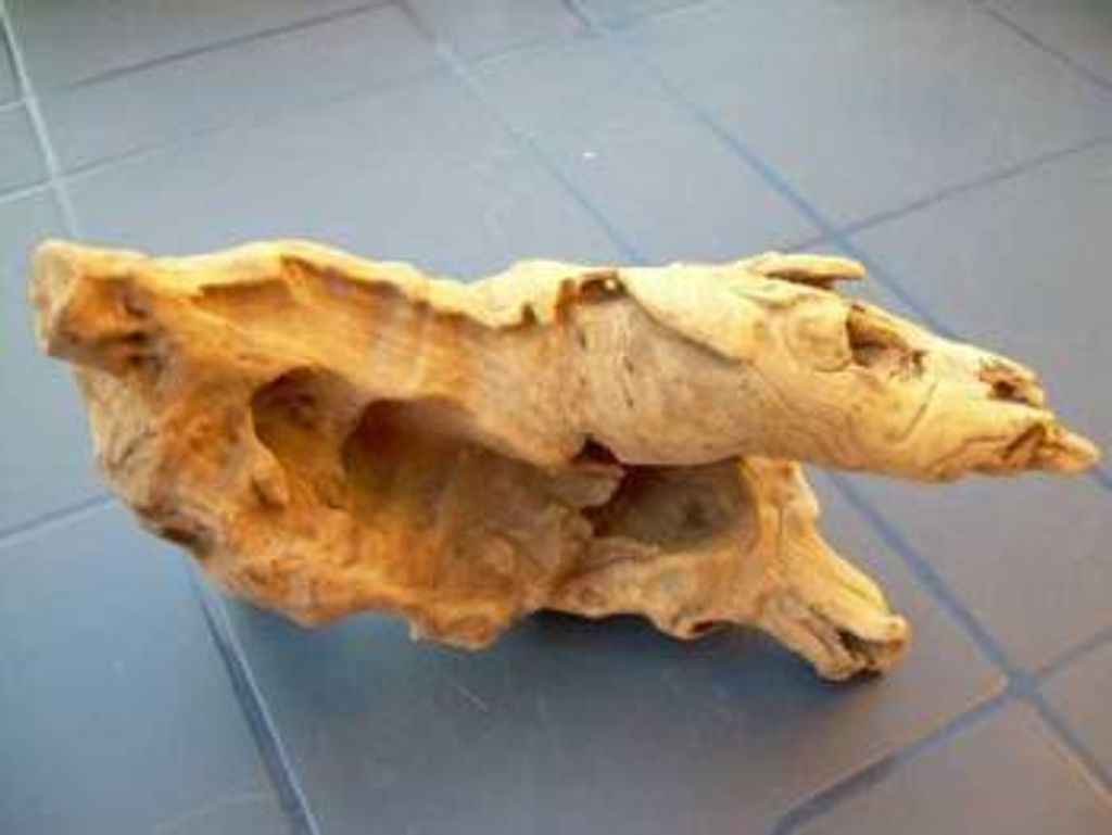 3 Wurzeln aus Opuwaholz ca. 10 -20 cm, Opuwa, Wurzel