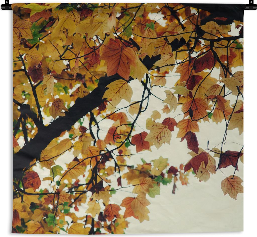 MuchoWow Wandteppich Wandbehang Bäume - Herbstblätter - Natur 150x150 cm Tapisserie Dekoration Wandtuch - Wohnaccessoires - Modernes