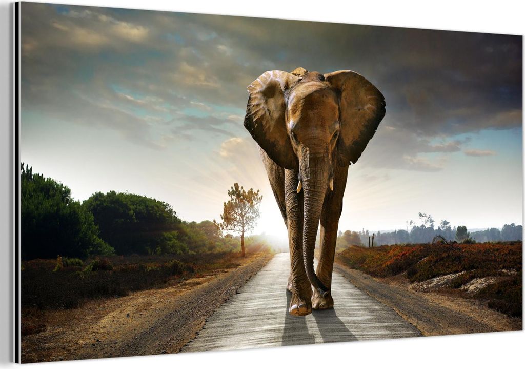 MuchoWow Wanddekoration Metall Metallbild Wandkunst 80x40 cm Elefant - Straße - Tiere - Sonnenuntergang - Landschaft MuchoWow Aluminium Gemälde -...