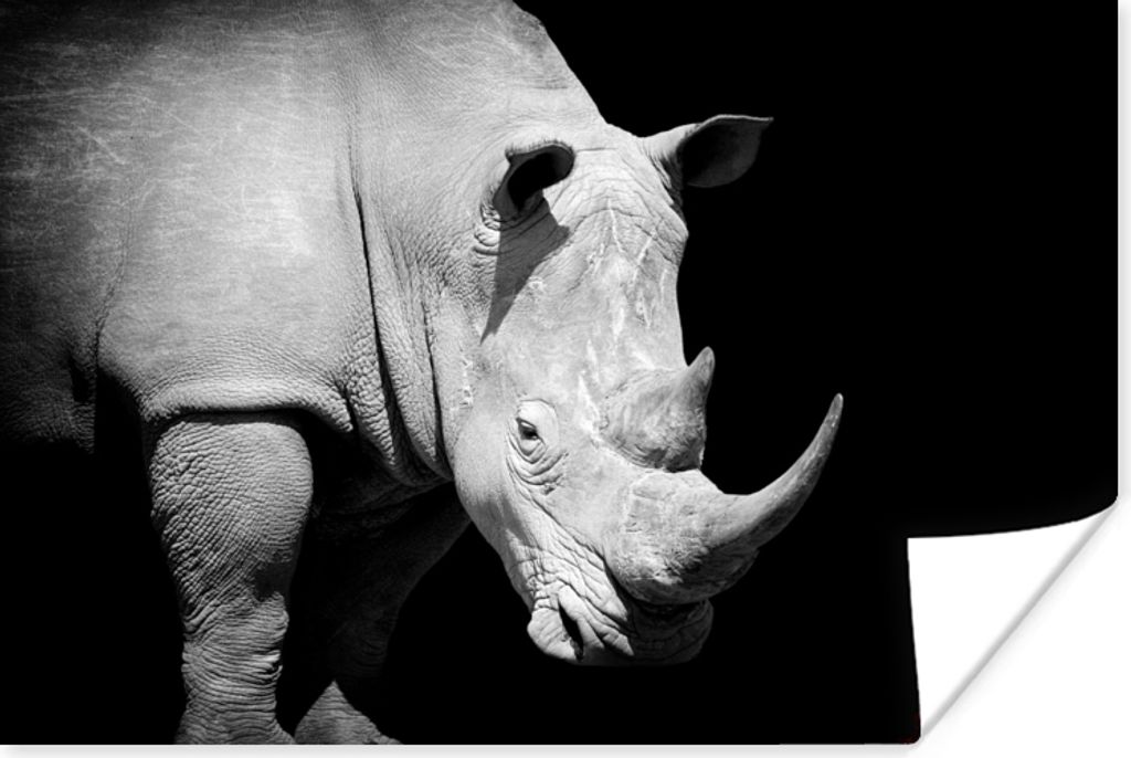 MuchoWow Poster Rhinozeros - Tier - Porträt 30x20 cm - Plakate - Print