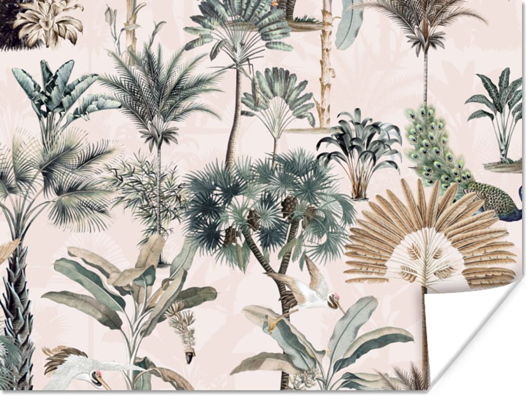MuchoWow Poster Blätter - Monstera - Dschungel - Tropisch 160x120 cm - Foto Plakat