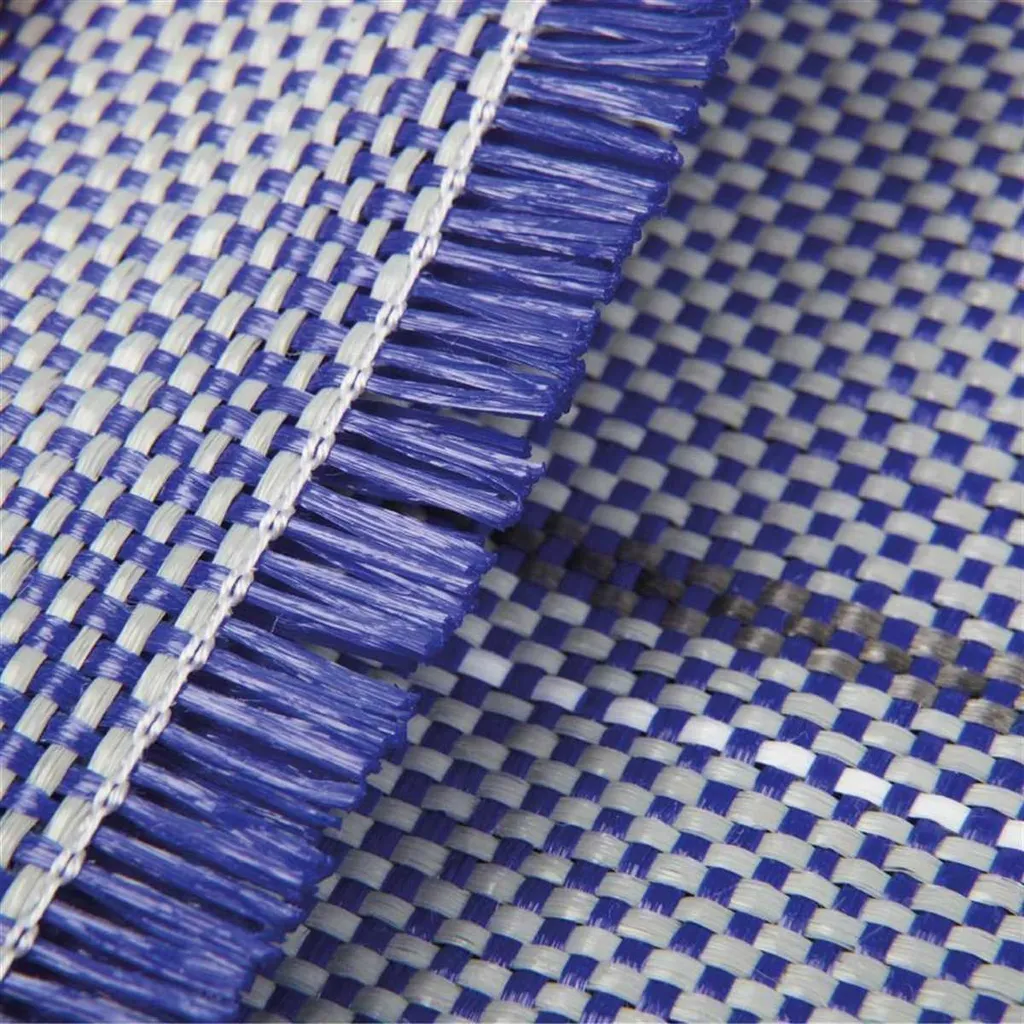 Tapis d'auvent camping anti-boue 250x400 cm bleu foncé sol propre extérieur