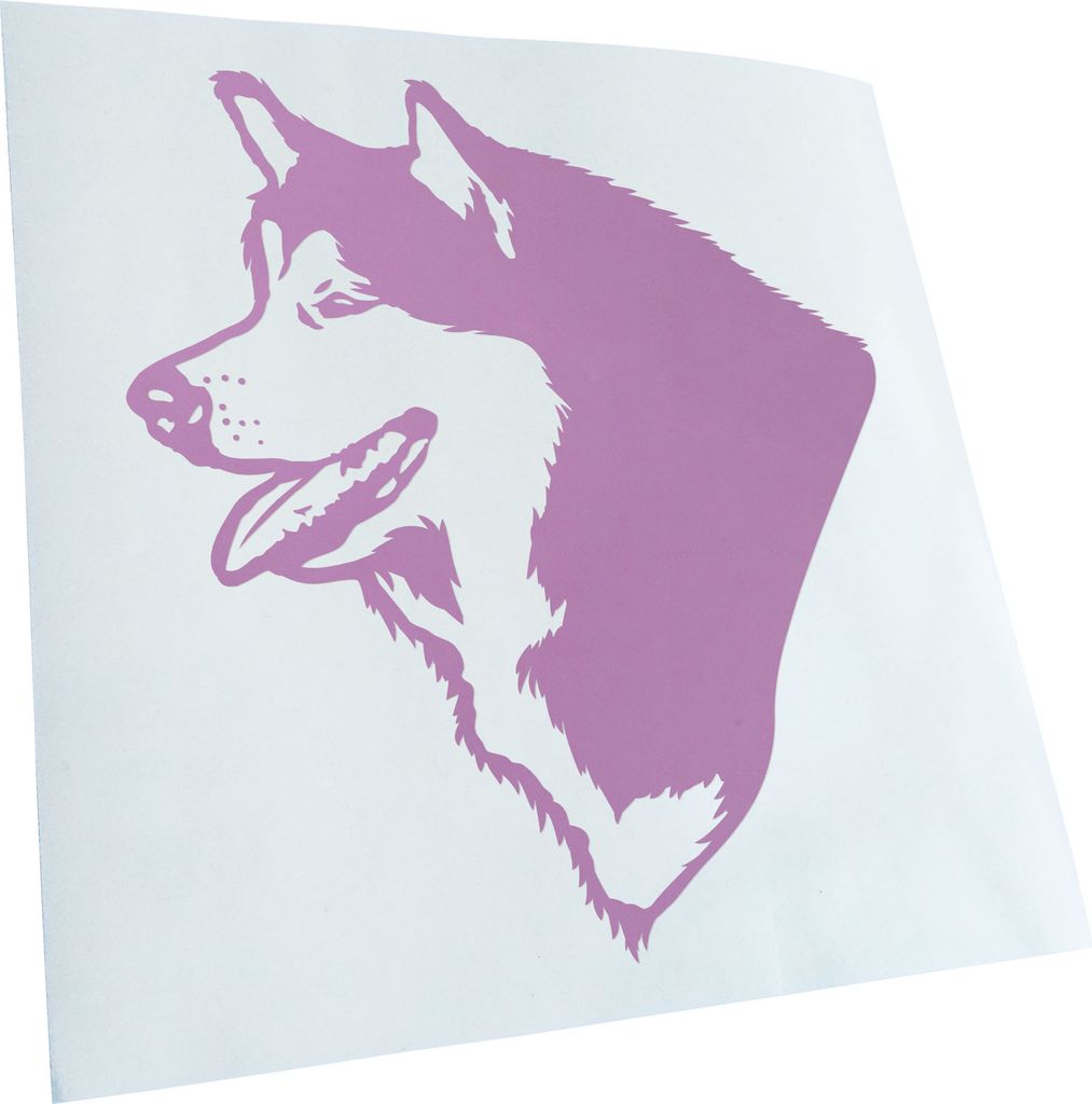 Kiwistar - Autoaufkleber - alaskan malamute Hund - Flieder - 40x36cm - Aufkleber für Auto, Laptop, Fahrrad, LKW, Motorrad mehrfarbig JDM Decal Racing