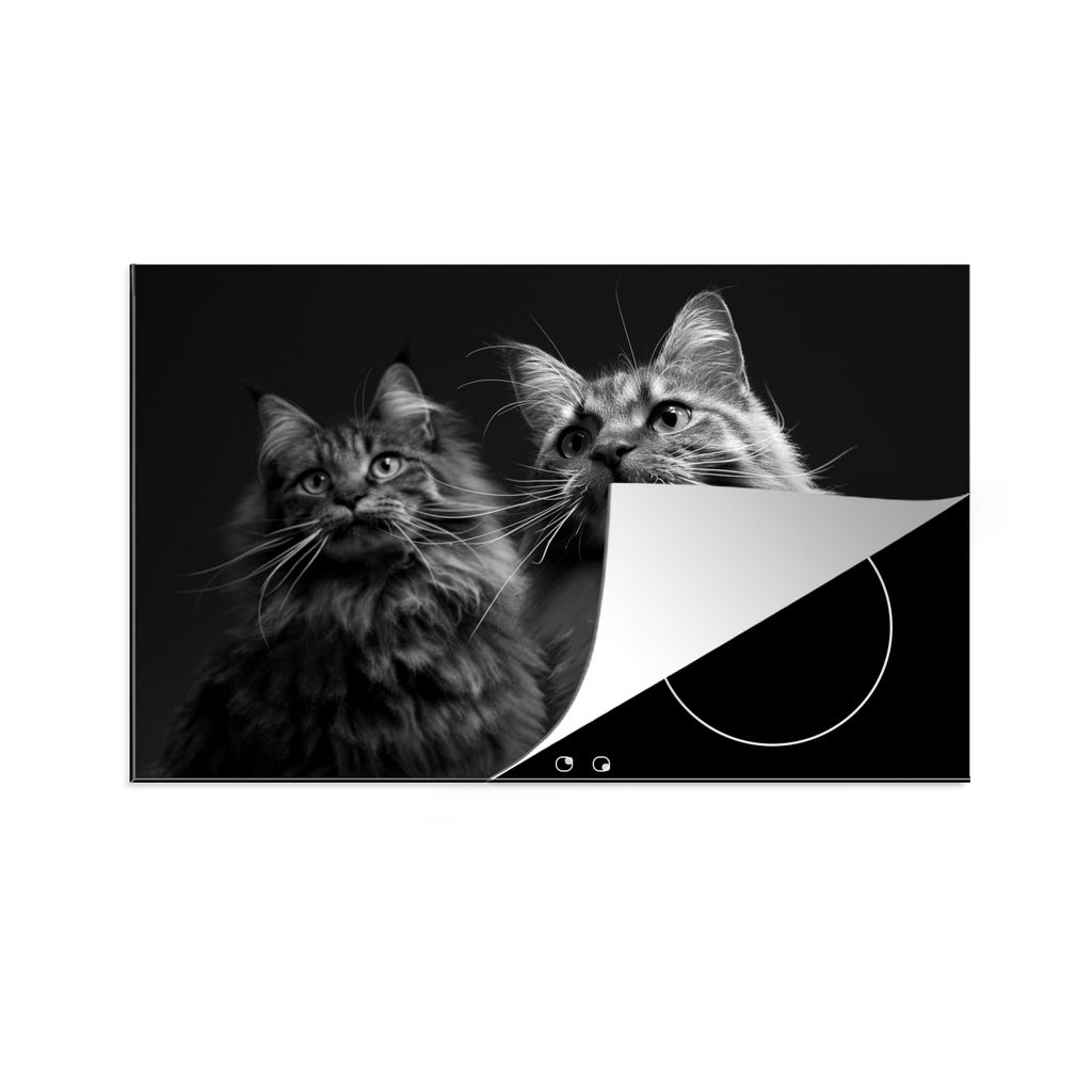 KitchenYeah Herdabdeckplatte Zwei süße Maine Coon Katzen - schwarz und weiß , 78x52cm, Küche Deko, Glaskeramikkochfeld Herdabdeckung, Abdeckp...