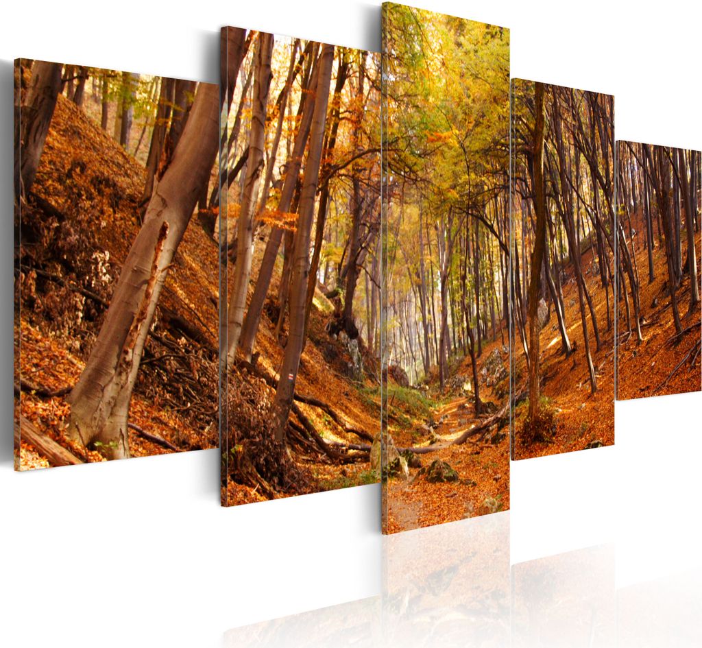 Leinwandbilder 200x100 cm Vlies Leinwandbild 5 tlg Kunstdruck modern Wandbilder XXL Wanddekoration Design Wand Bild - Natur 030212-36