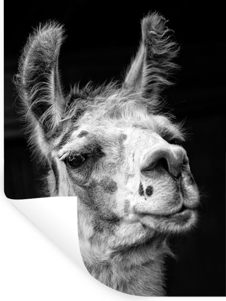 MuchoWow - Repositionierbar - Wasser abweisend