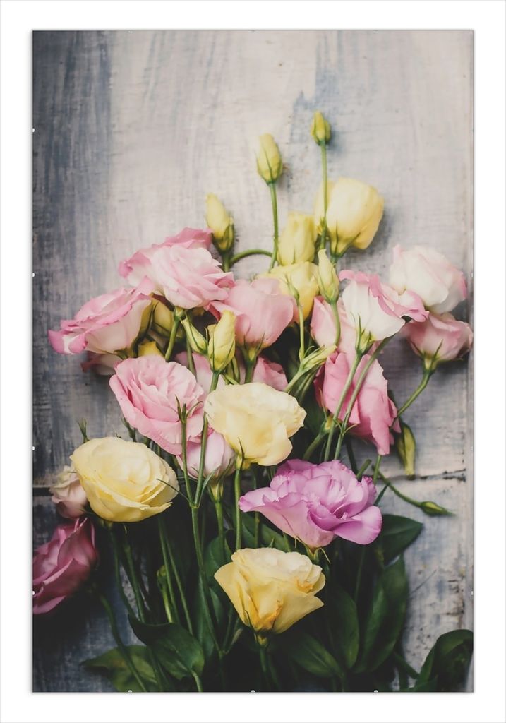 Wallario Wandbild Gelbe und rosane Rosen, Größe: 61 x 91,5 cm, Poster mit rahmenlosen Bildhalter