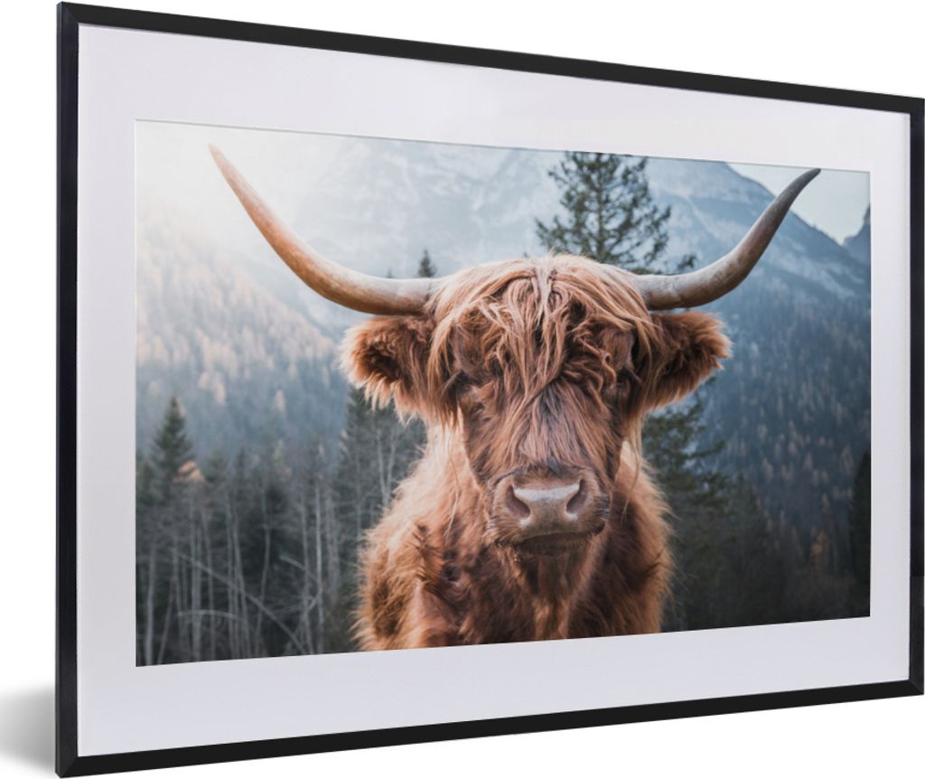 MuchoWow Gerahmtes Poster Schottischer Hochländer - Kuh - Tiere - Berg - Natur 60x40 cm - Poster mit Schwarzem Bilderrahmen Wandposter Rahmen Fo...