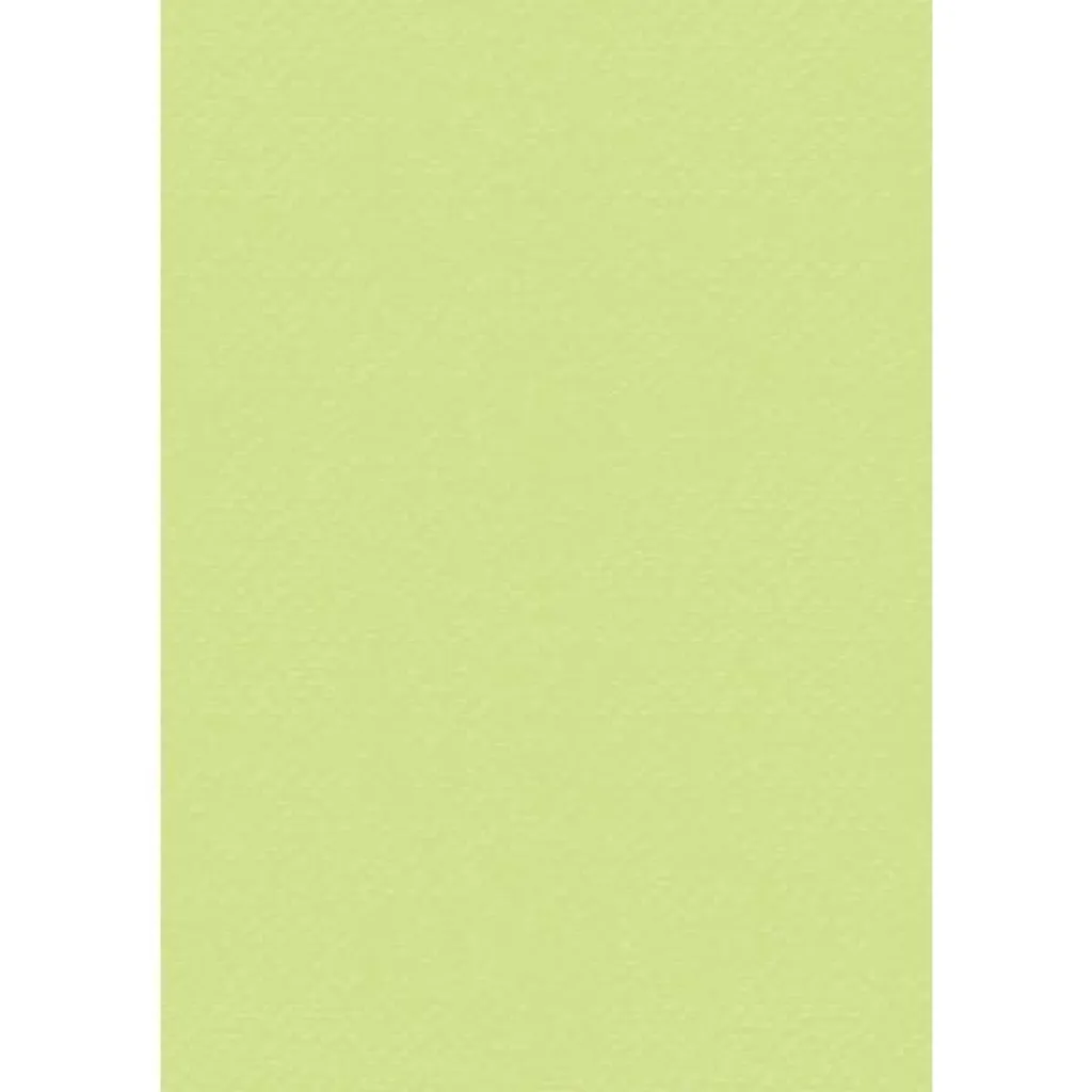 Papier cartonné vert clair A4 Heyda pour présentations impeccables - 2