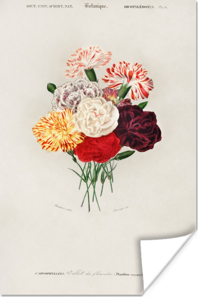 MuchoWow® Poster Blumen - Vintage - Blatt 40x60 cm - Produktbild 