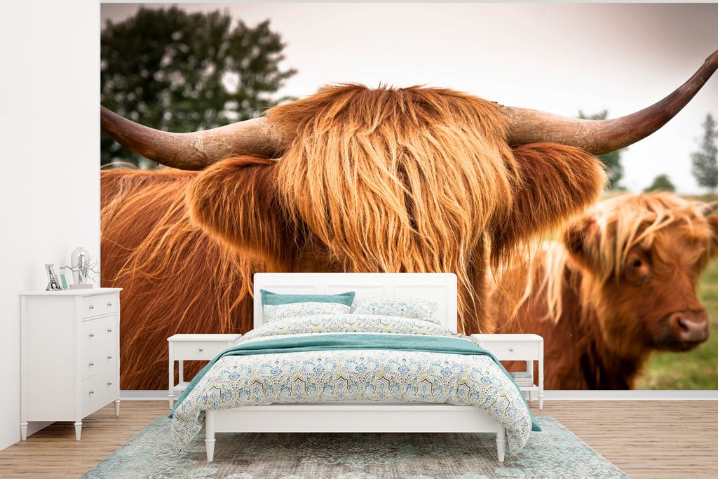 MuchoWow Fototapete für Wohnzimmer oder Schlafzimmer Wandtapete Vinyl Motivtapete Schottische Highlander - Braun - Gras - 320x240 cm - Tapeten