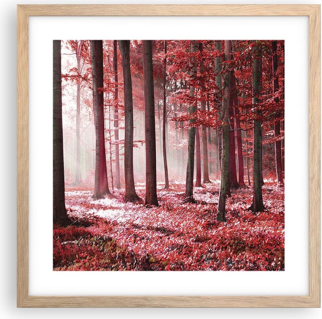 Gerahmtes Poster - Rahmen in heller Eiche - Wald Rot Bäume - 40x40 cm - Wand Bild - Wanddeko - Wandbilder - Kunstposter - Wandposter - Bilderrahme...