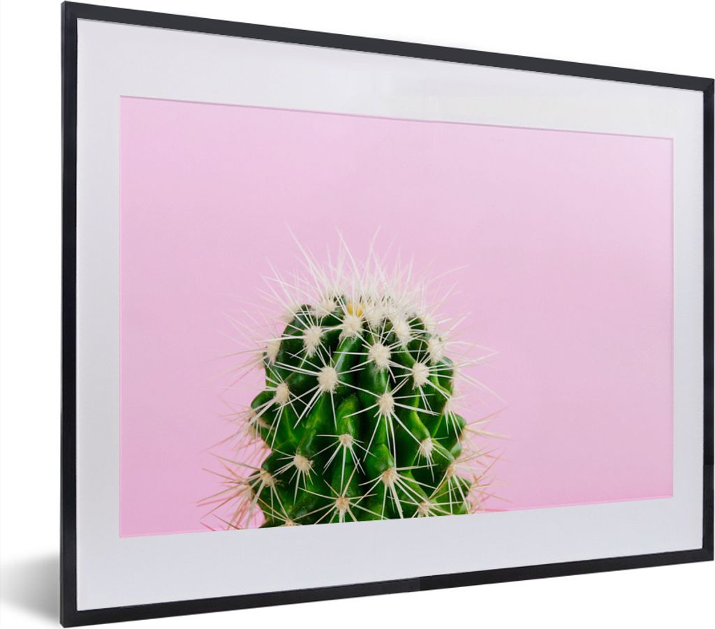 MuchoWow MuchoWow Gerahmtes Poster Kaktus auf Rosa 40x30 cm - Poster mit zchwarzem Bilderrahmen - Bilderrahmen - Poster im Rahmen