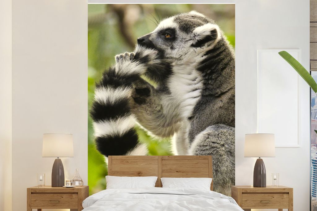 MuchoWow Fototapete für Wohnzimmer oder Schlafzimmer Wandtapete Vinyl Motivtapete Affe - Tier - Ringschwanzlemur - 225x350 cm - Schlafzimmer tapete