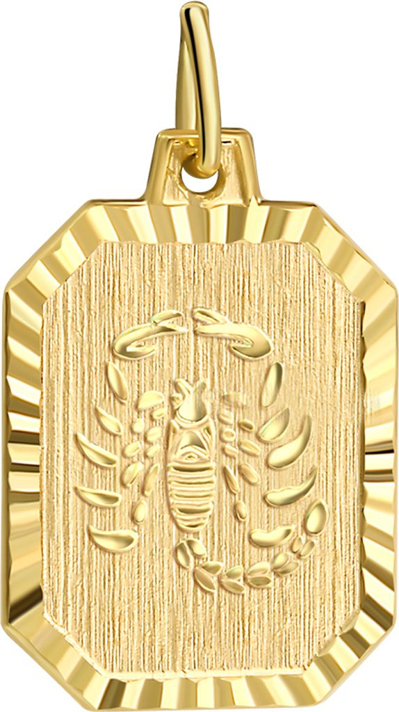 V Anhänger Sternzeichen Skorpion 333/- Gold 2,2cm gelb 203340121SK