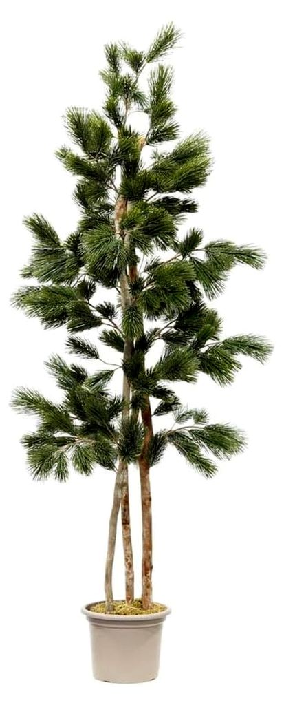 Künstlicher Kieferbaum 210 cm mit PE-Nadeln, Echtholzstämmen, dunkelgrün, im Topf