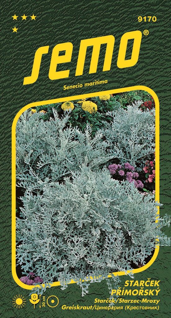 Semo Starček - Silverdust 0,3g Obrázok produktu 
