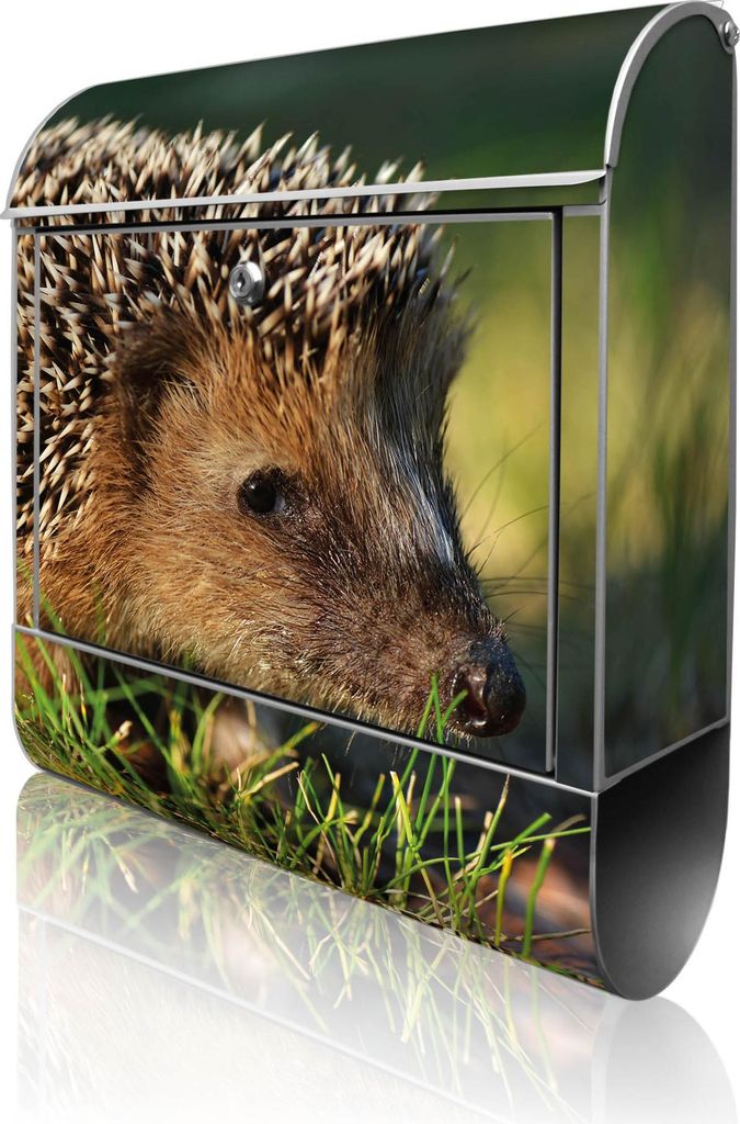 banjado Design Briefkasten Stahl silber mit Zeitungsfach pulverbeschichtet "Bruno" 38x46x12,5cm & 2 Schlüssel - Postkasten A4 Einwurf inkl. Montag...