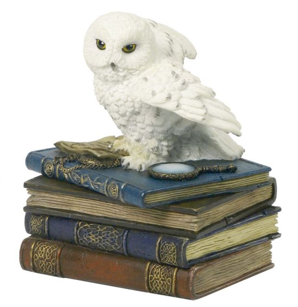 Veronese Schmuckbox Schneeeule sitzt auf Büchern