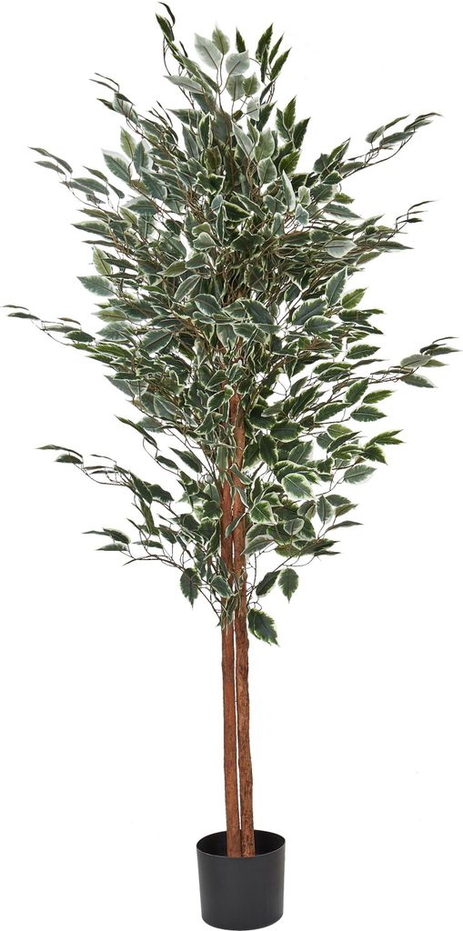 BELIANI Kunstpflanze Ficus Baum Grün 167 cm im Blumentopf Künstlich Indoor Dekoration Wohnaccessoires