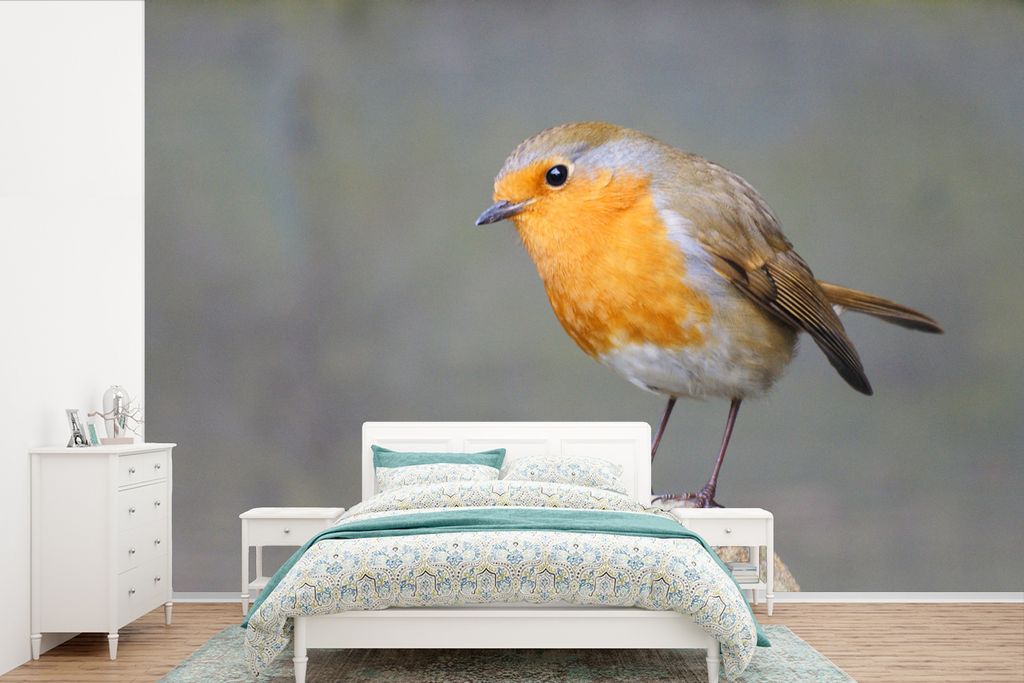 MuchoWow Fototapete für Wohnzimmer oder Schlafzimmer Wandtapete Vinyl Motivtapete Vogel - Rotkehlchen - Felsen - 450x300 cm - Gemusterte