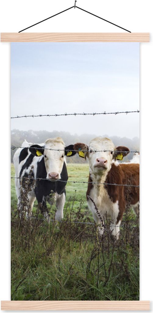 MuchoWow Textilposter Kuh - Stacheldraht - Gras - Tiere 40x80 cm mit holzfarbenen Rahmen - Wohnzimmer