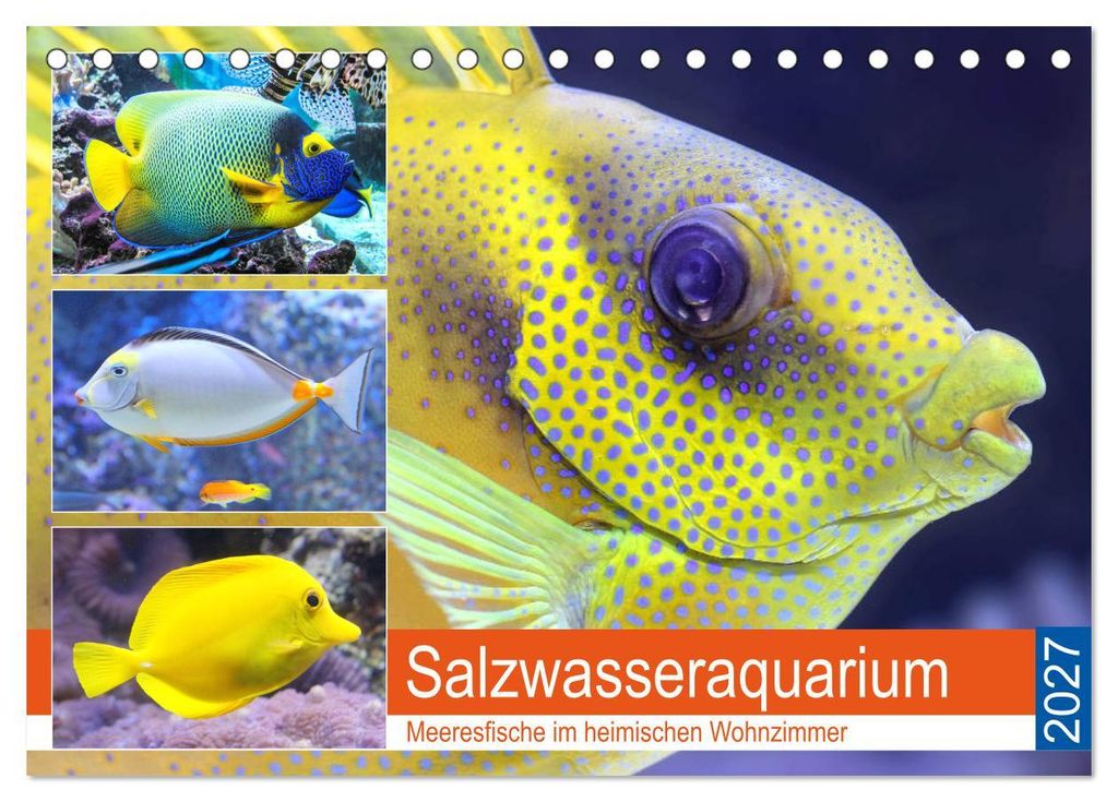 Salzwasseraquarium. Meeresfische im heimischen Wohnzimmer (Tischkalender 2027 DIN A5 quer), CALVENDO Monatskalender