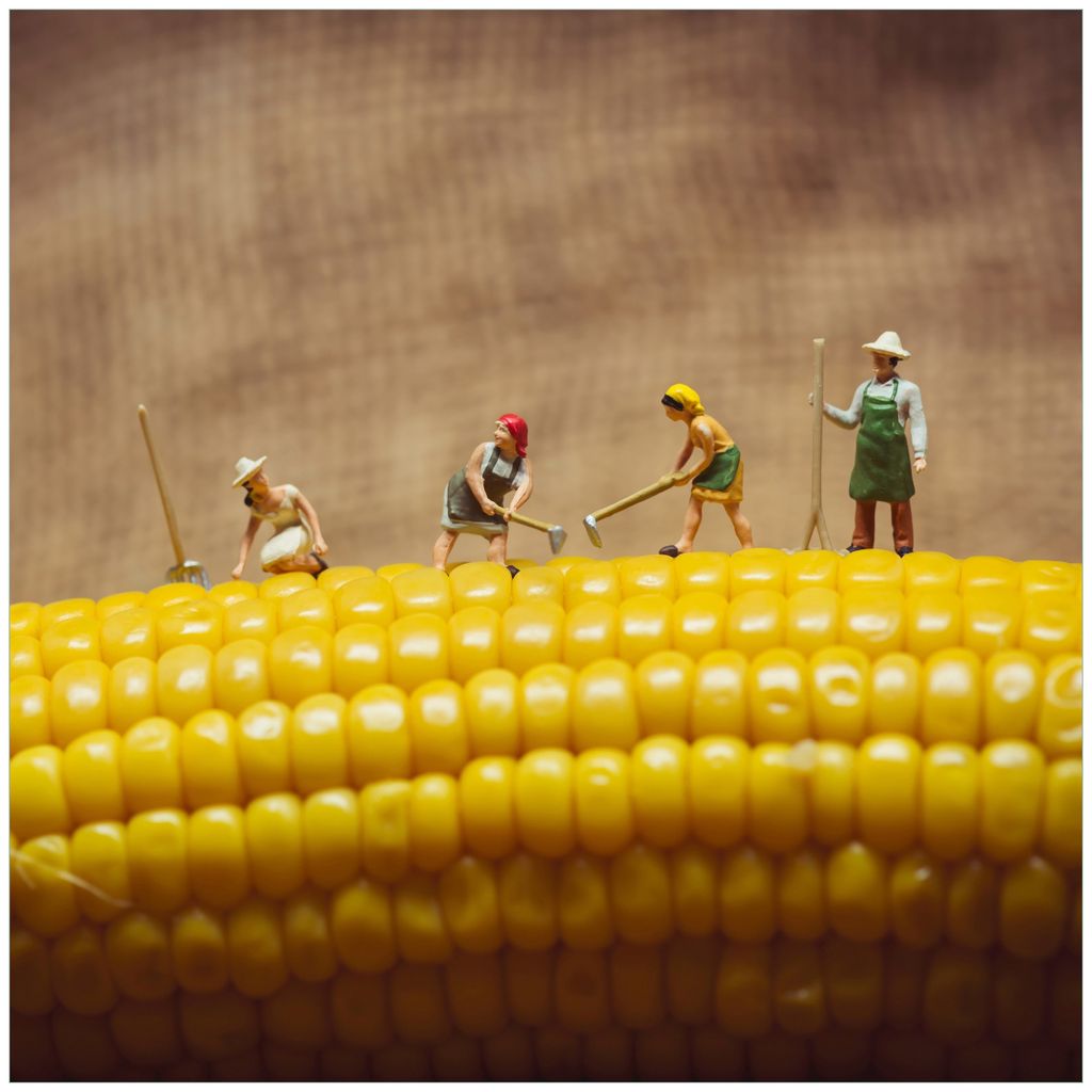 Wallario Möbeldesign / Aufkleber, geeignet für Ikea Lack Tisch - Lustige Bauernfiguren auf einem Maiskolben beim Arbeiten in 55 x 55 cm